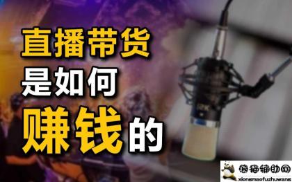 一个关于网上直播行业一些内幕的视频