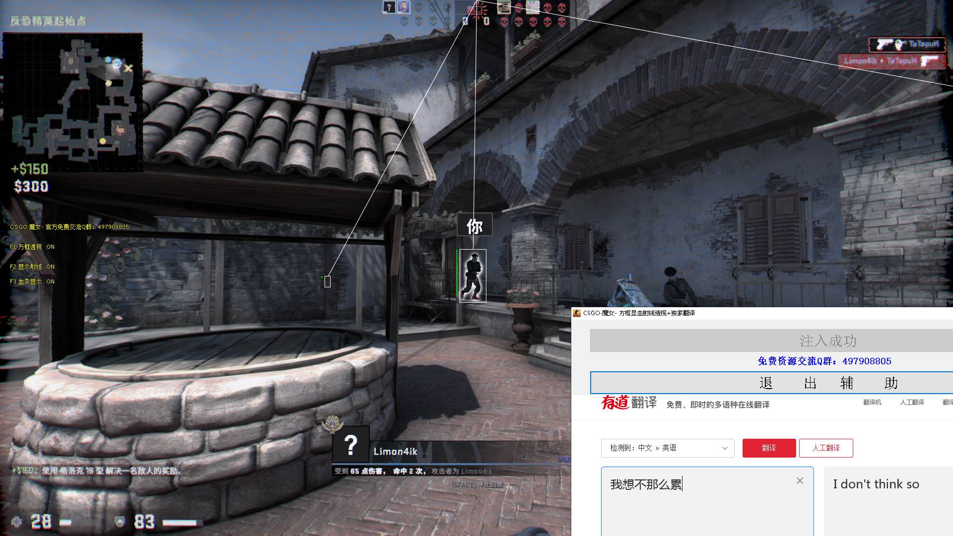 CSGO·魔女方框显血射线绘制+翻译V11.13免费版